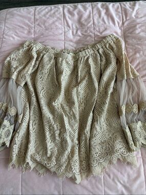 entro Beige Off-Shoulder Lace Blouse with Sheer Sleeves